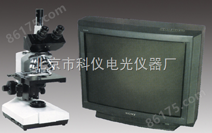 XSP-E/CTV型生物电视显微镜