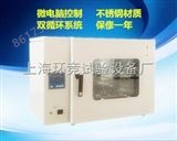 DHG-9035A上海奉贤厂家现货立式300度鼓风干燥箱烤箱