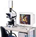 激光扫描共聚焦显微镜