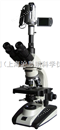 上海上光生物显微镜市场批发销售价格