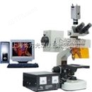上海长方数码荧光显微镜