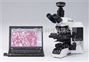 奥林巴斯荧光显微镜（含倒置和正置）   荧光显微镜价格