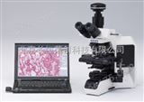 BX43奥林巴斯荧光显微镜（含倒置和正置）   荧光显微镜价格
