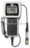 YSI 550A维赛YSI 550A型溶解氧测量仪