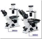 CKX41-FL五一*北京荧光显微镜/生物显微镜/徕卡显微镜